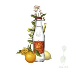 Indi Tonic