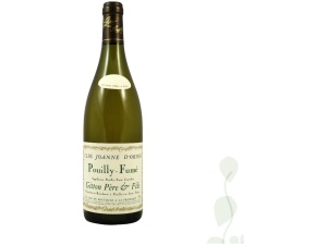 Clos Joanne D´orion Pouilly Fumé