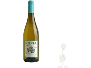 Silga Verdejo